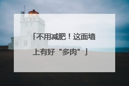 不用减肥！这面墙上有好“多肉”