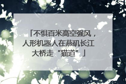 不惧百米高空强风，人形机器人在燕矶长江大桥走“猫道”