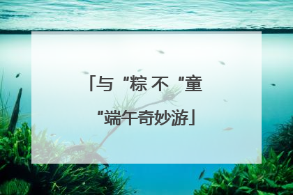 与“粽 不“童“端午奇妙游