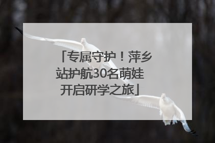 专属守护！萍乡站护航30名萌娃开启研学之旅