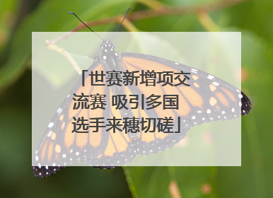 世赛新增项交流赛 吸引多国选手来穗切磋