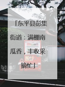 东平县彭集街道：满棚南瓜香，丰收采摘忙
