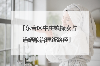 东营区牛庄镇探索占道晒粮治理新路径