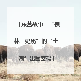 东营故事｜“槐林二奶奶”的“土潮”出圈密码