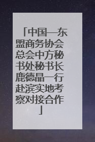 中国—东盟商务协会总会中方秘书处秘书长鹿德晶一行赴滨实地考察对接合作
