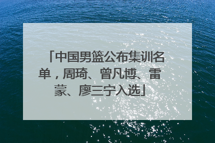 中国男篮公布集训名单，周琦、曾凡博、雷蒙、廖三宁入选