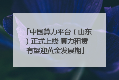 中国算力平台（山东）正式上线 算力租赁有望迎黄金发展期