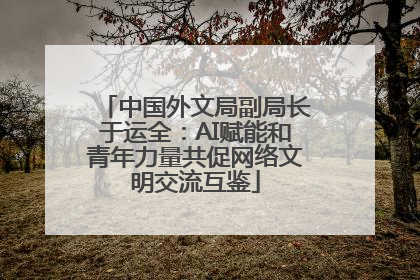 中国外文局副局长于运全：AI赋能和青年力量共促网络文明交流互鉴