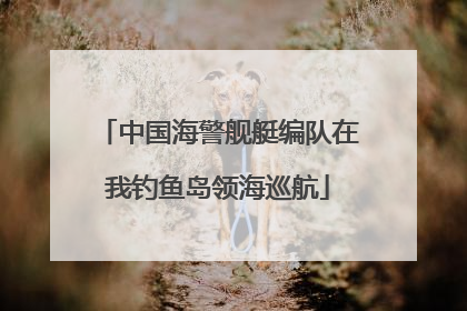 中国海警舰艇编队在我钓鱼岛领海巡航