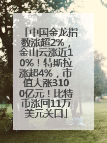 中国金龙指数涨超2%，金山云涨近10%！特斯拉涨超4%，市值大涨3100亿元！比特币涨回11万美元关口