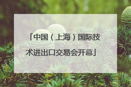 中国（上海）国际技术进出口交易会开幕