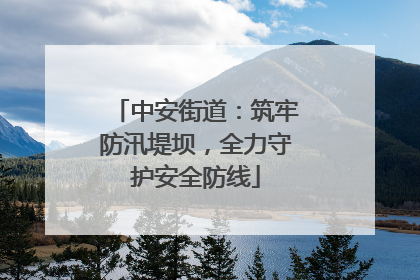中安街道：筑牢防汛堤坝，全力守护安全防线