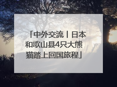 中外交流丨日本和歌山县4只大熊猫踏上回国旅程