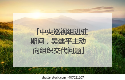 中央巡视组进驻期间，吴建平主动向组织交代问题