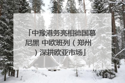 中豫港务亮相德国慕尼黑 中欧班列（郑州）深耕欧亚市场