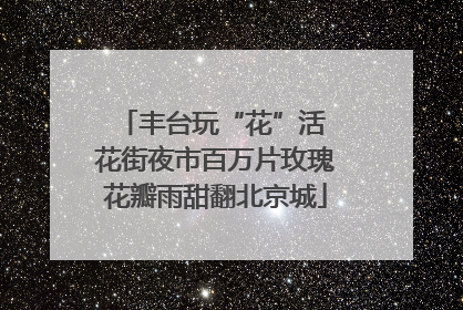 丰台玩“花”活 花街夜市百万片玫瑰花瓣雨甜翻北京城