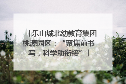 乐山城北幼教育集团桃源园区：“聚焦前书写，科学助衔接”