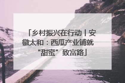 乡村振兴在行动丨安徽太和：西瓜产业铺就“甜蜜”致富路