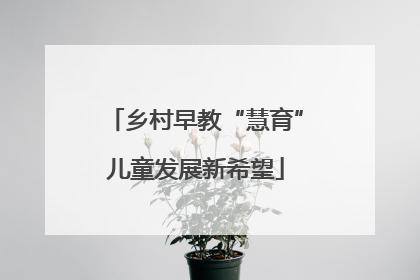 乡村早教“慧育”儿童发展新希望
