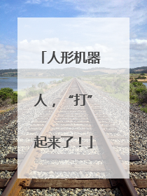 人形机器人，“打”起来了！