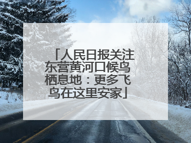 人民日报关注东营黄河口候鸟栖息地：更多飞鸟在这里安家