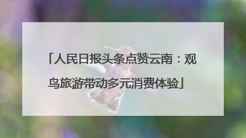 人民日报头条点赞云南：观鸟旅游带动多元消费体验