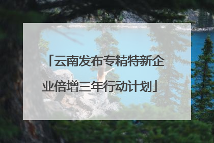云南发布专精特新企业倍增三年行动计划