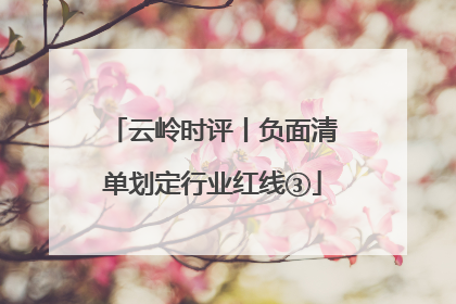 云岭时评丨负面清单划定行业红线③
