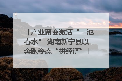 产业聚变激活“一池春水” 湖南新宁县以奔跑姿态“拼经济”
