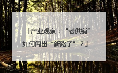 产业观察：“老供销”如何闯出“新路子”？