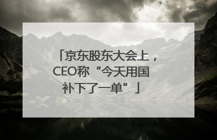 京东股东大会上，CEO称“今天用国补下了一单”