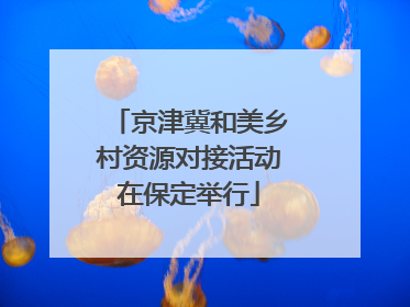 京津冀和美乡村资源对接活动在保定举行