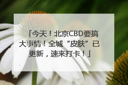 今天！北京CBD要搞大事情！全城“皮肤”已更新，速来打卡！