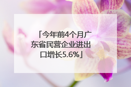 今年前4个月广东省民营企业进出口增长5.6%