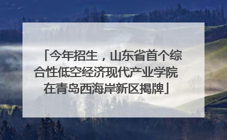 今年招生，山东省首个综合性低空经济现代产业学院在青岛西海岸新区揭牌
