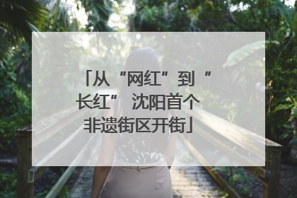 从“网红”到“长红” 沈阳首个非遗街区开街