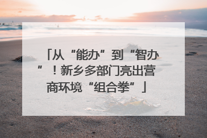 从“能办”到“智办”！新乡多部门亮出营商环境“组合拳”