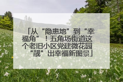 从“隐患地”到“幸福角”！五角场街道这个老旧小区党建微花园“靓”出幸福新图景