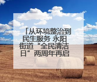 从环境整治到民生服务 永阳街道“全民清洁日”两周年再启共治新篇