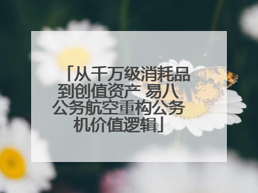 从千万级消耗品到创值资产 易八公务航空重构公务机价值逻辑