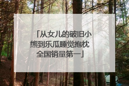 从女儿的破旧小熊到乐瓜睡觉抱枕全国销量第一