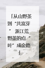 从山野茶到“共富芽” 浙江荒野茶的点“叶”成金路