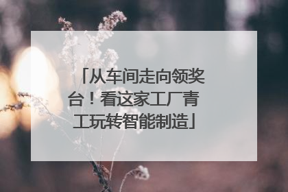 从车间走向领奖台！看这家工厂青工玩转智能制造