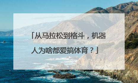 从马拉松到格斗，机器人为啥都爱搞体育？