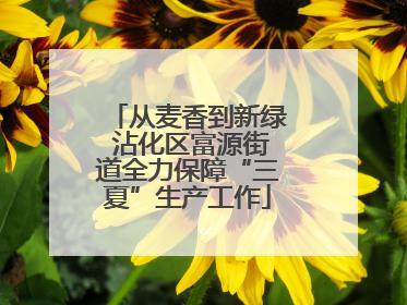 从麦香到新绿 沾化区富源街道全力保障“三夏”生产工作