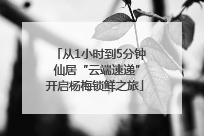 从1小时到5分钟 仙居“云端速递”开启杨梅锁鲜之旅