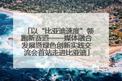 以“比亚迪速度”领跑新赛道——媒体融合发展暨绿色创新实践交流会首站走进比亚迪