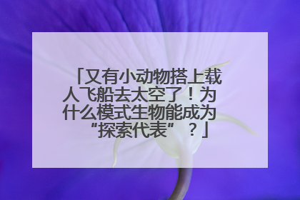 又有小动物搭上载人飞船去太空了！为什么模式生物能成为“探索代表”？