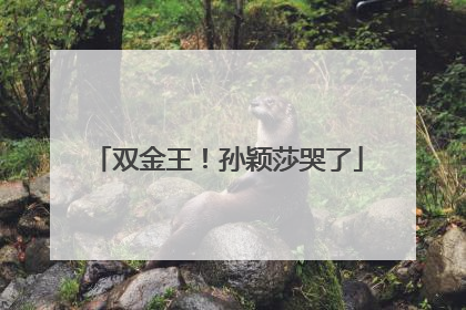 双金王！孙颖莎哭了