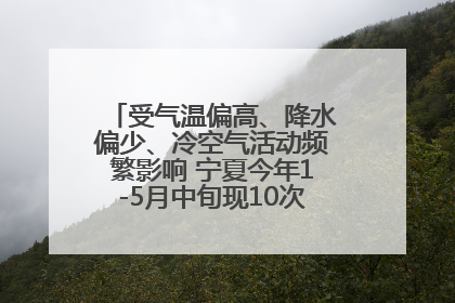 受气温偏高、降水偏少、冷空气活动频繁影响 宁夏今年1-5月中旬现10次定级沙尘天气过程